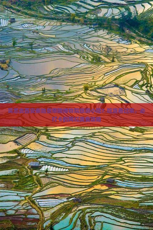 吴忠去西安秦始皇帝陵博物院旅游小吃?吃货看过来,必打卡的网红美食攻略 吴忠去西安秦始皇帝陵博物院旅游小吃?吃货看过来,必打卡的网红美食攻略