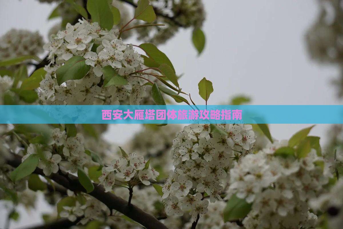 西安大雁塔团体旅游攻略指南