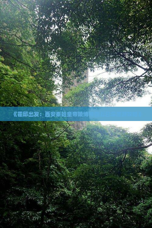 《霍邱出发：西安秦始皇帝陵博物院五日深度游攻略》