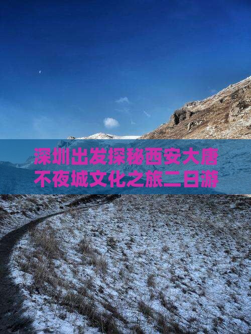 深圳出发探秘西安大唐不夜城文化之旅二日游