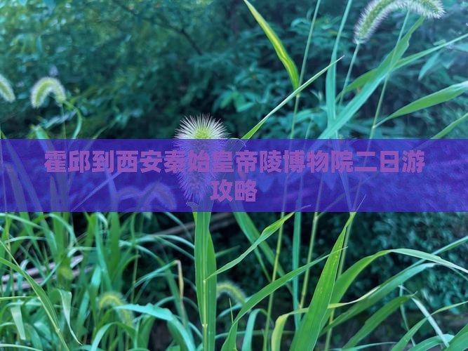 霍邱到西安秦始皇帝陵博物院二日游攻略