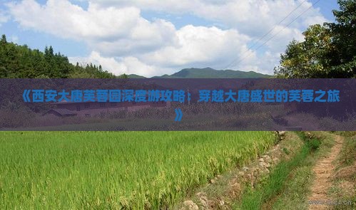 《西安大唐芙蓉园深度游攻略：穿越大唐盛世的芙蓉之旅》