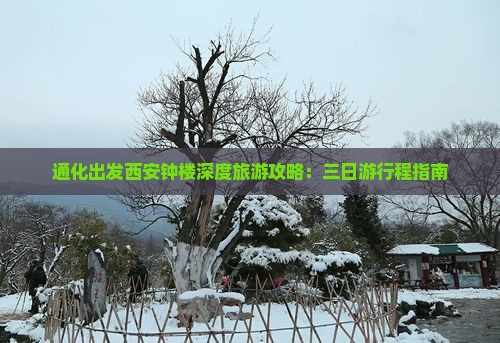 通化出发西安钟楼深度旅游攻略：三日游行程指南