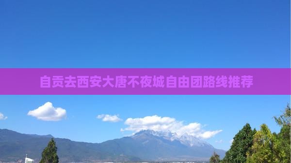 自贡去西安大唐不夜城自由团路线推荐