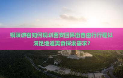铜陵游客如何规划西安回民街自由行行程以满足地道美食探索需求？