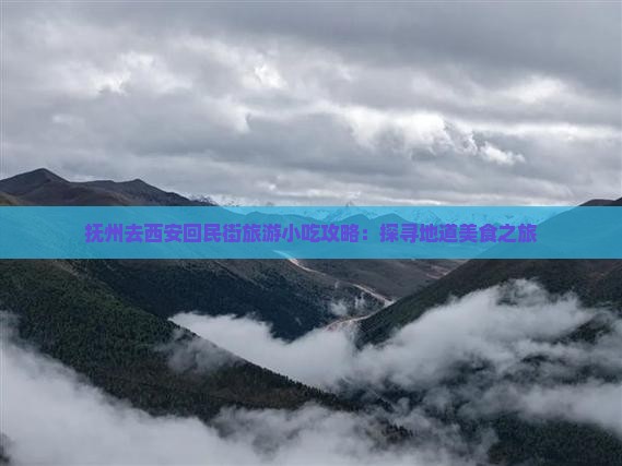 抚州去西安回民街旅游小吃攻略：探寻地道美食之旅