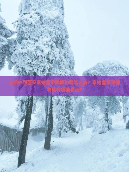 从榆林到西安秦始皇帝陵博物院怎么去？秦始皇帝陵博物院有哪些看点？