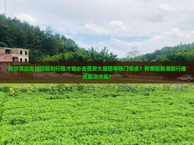 哈尔滨出发如何规划行程才能必去西安大雁塔等热门景点？有哪些新潮旅行痛点解决方案？