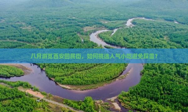 八月游览西安回民街，如何挑选人气小吃避免踩雷？