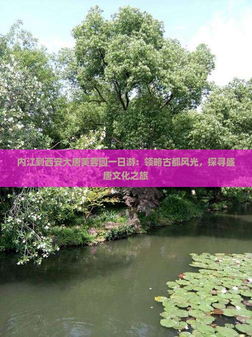内江到西安大唐芙蓉园一日游：领略古都风光，探寻盛唐文化之旅