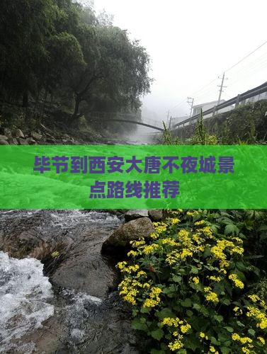 毕节到西安大唐不夜城景点路线推荐