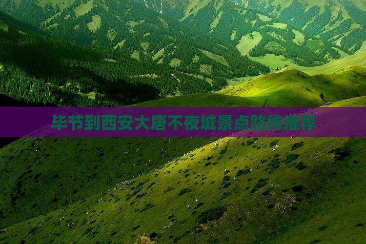 毕节到西安大唐不夜城景点路线推荐