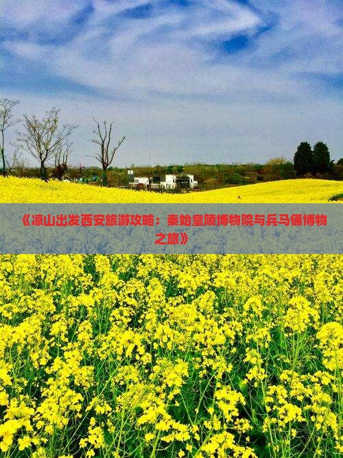 《凉山出发西安旅游攻略：秦始皇陵博物院与兵马俑博物之旅》