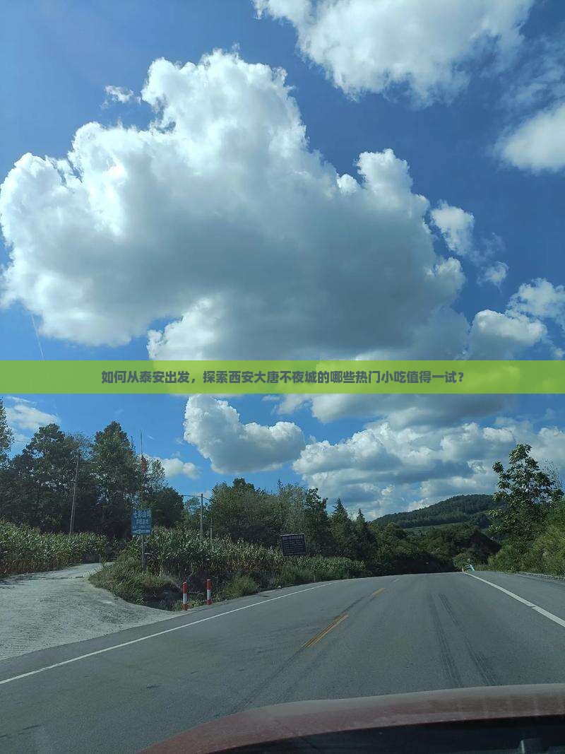 如何从泰安出发，探索西安大唐不夜城的哪些热门小吃值得一试？
