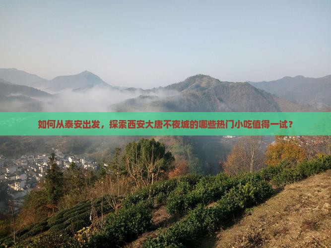 如何从泰安出发，探索西安大唐不夜城的哪些热门小吃值得一试？