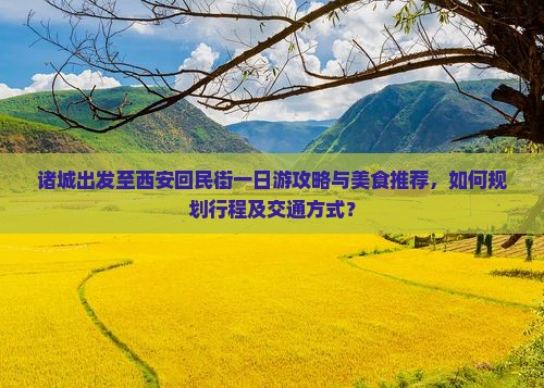 诸城出发至西安回民街一日游攻略与美食推荐，如何规划行程及交通方式？