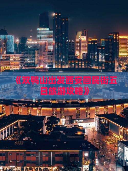 《双鸭山出发西安回民街五日旅游攻略》