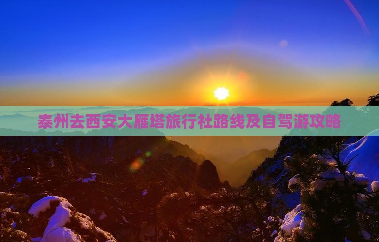 泰州去西安大雁塔旅行社路线及自驾游攻略