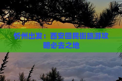 忻州出发：西安回民街旅游攻略必去之地