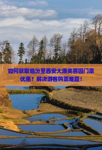如何获取临汾至西安大唐芙蓉园门票优惠？解决游客购票难题！