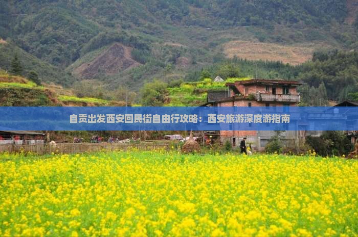 自贡出发西安回民街自由行攻略：西安旅游深度游指南