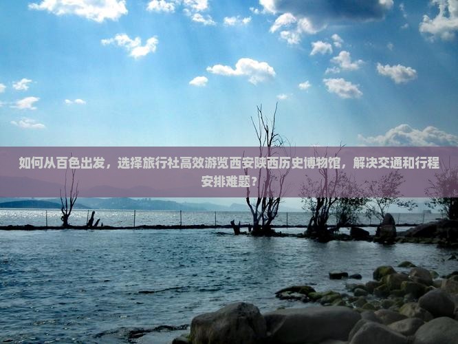 如何从百色出发，选择旅行社高效游览西安陕西历史博物馆，解决交通和行程安排难题？