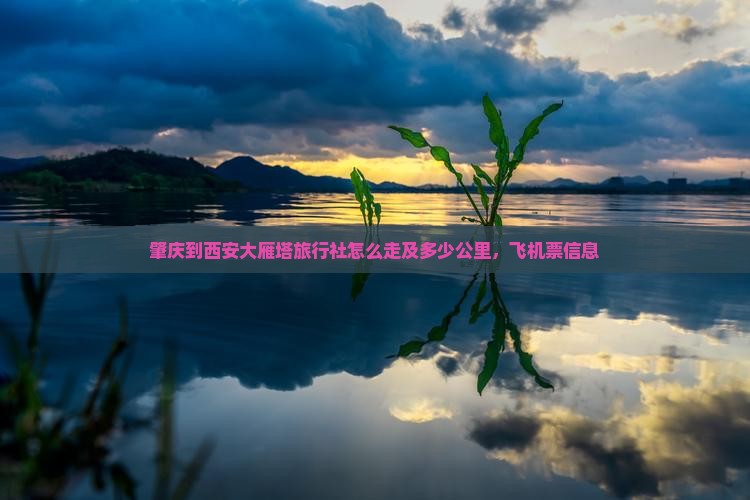 肇庆到西安大雁塔旅行社怎么走及多少公里，飞机票信息