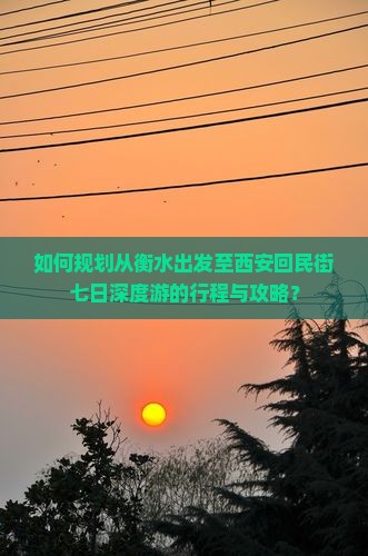 如何规划从衡水出发至西安回民街七日深度游的行程与攻略？