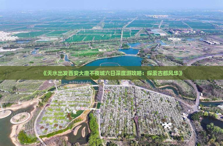 《天水出发西安大唐不夜城六日深度游攻略：探索古都风华》