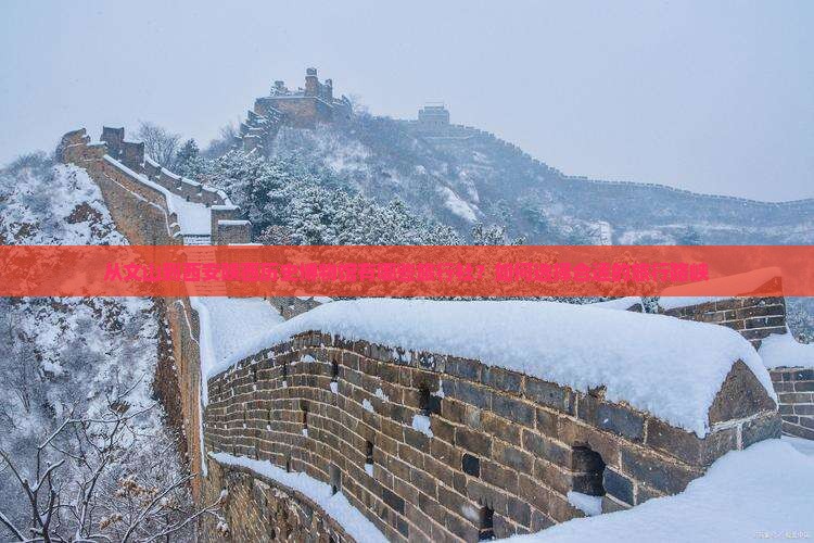 从文山到西安陕西历史博物馆有哪些旅行社？如何选择合适的旅行路峡