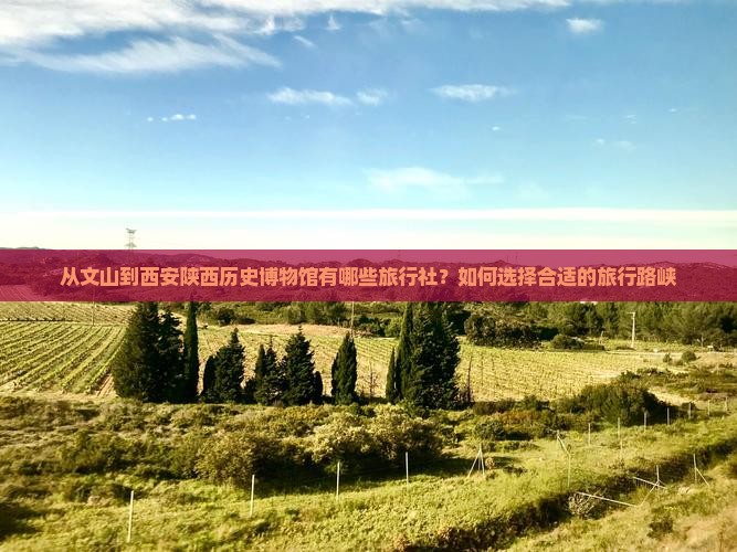 从文山到西安陕西历史博物馆有哪些旅行社？如何选择合适的旅行路峡