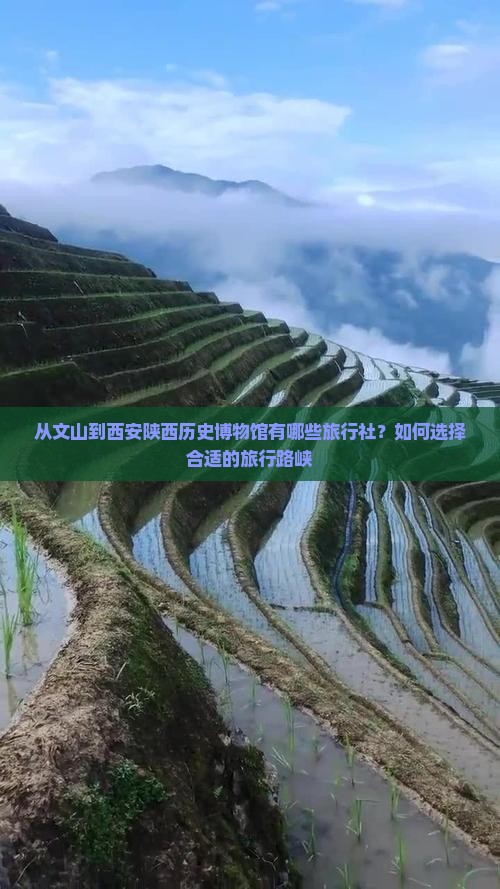 从文山到西安陕西历史博物馆有哪些旅行社？如何选择合适的旅行路峡