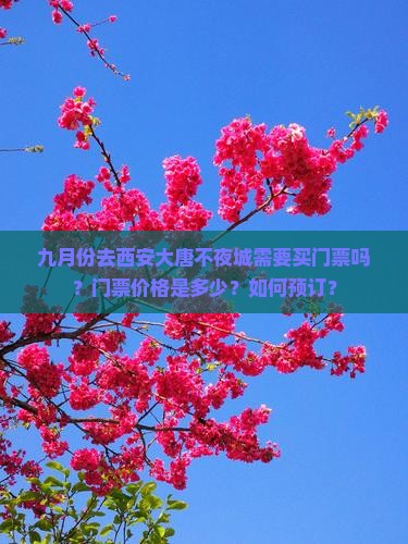九月份去西安大唐不夜城需要买门票吗？门票价格是多少？如何预订？