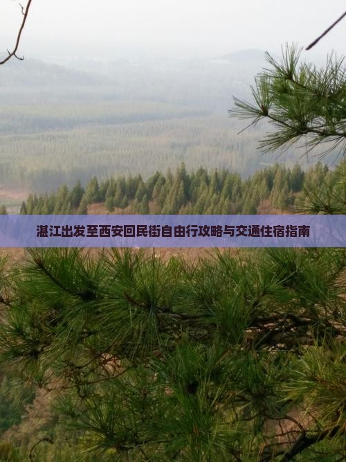 湛江出发至西安回民街自由行攻略与交通住宿指南