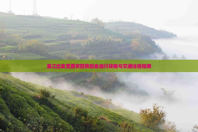 湛江出发至西安回民街自由行攻略与交通住宿指南