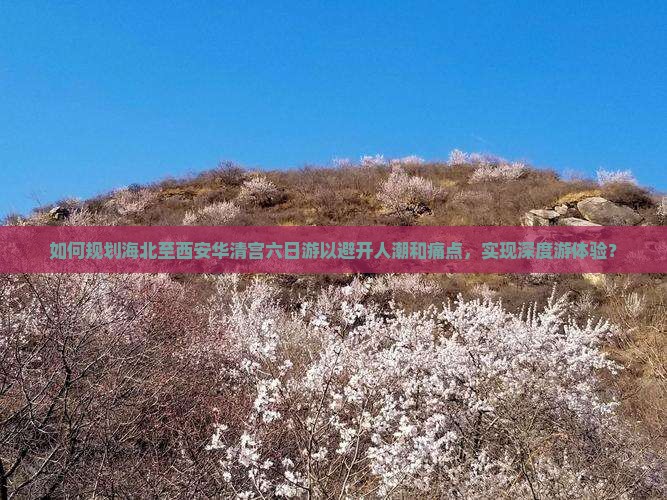 如何规划海北至西安华清宫六日游以避开人潮和痛点，实现深度游体验？
