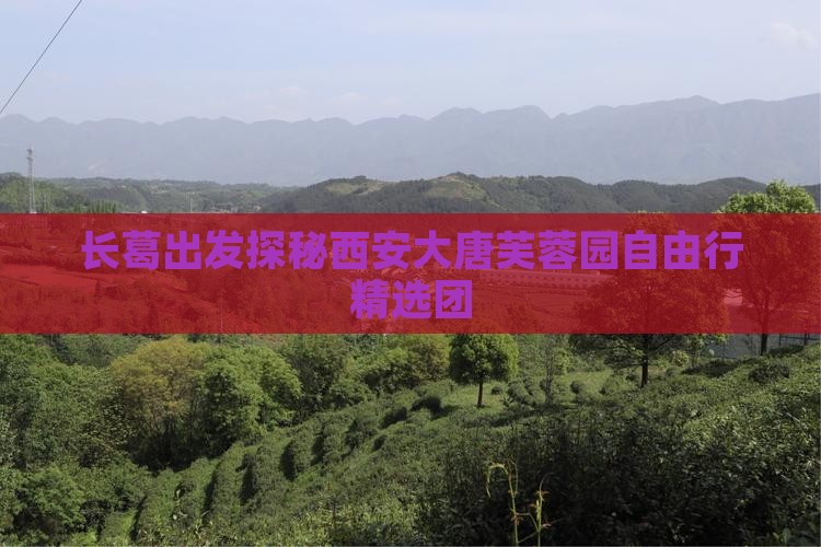 长葛出发探秘西安大唐芙蓉园自由行精选团