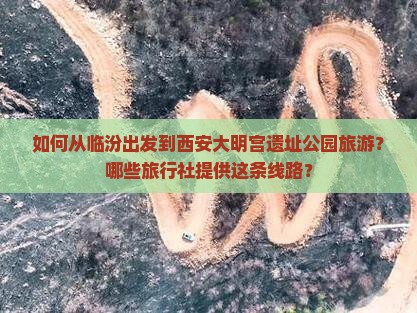 如何从临汾出发到西安大明宫遗址公园旅游？哪些旅行社提供这条线路？