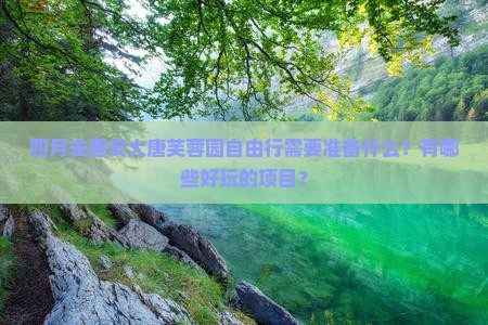 四月去西安大唐芙蓉园自由行需要准备什么？有哪些好玩的项目？