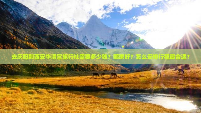 去庆阳到西安华清宫旅行社需要多少钱？哪家好？怎么安排行程最合适？