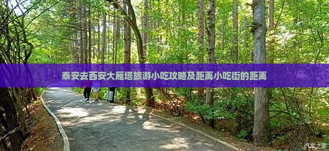 泰安去西安大雁塔旅游小吃攻略及距离小吃街的距离
