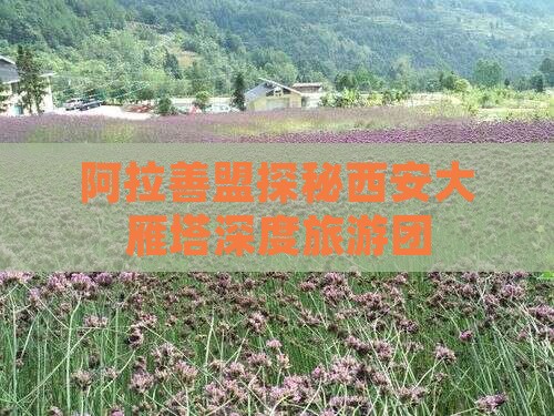阿拉善盟探秘西安大雁塔深度旅游团