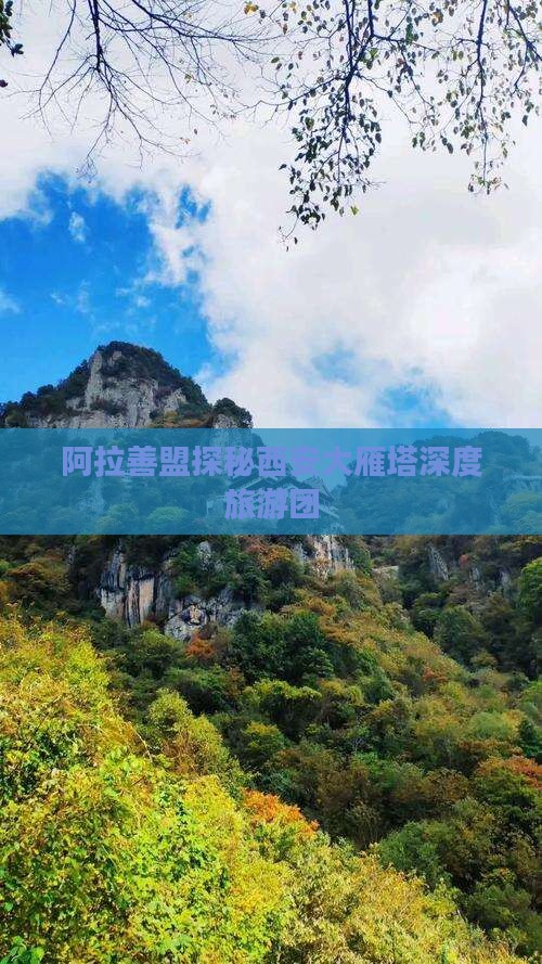 阿拉善盟探秘西安大雁塔深度旅游团
