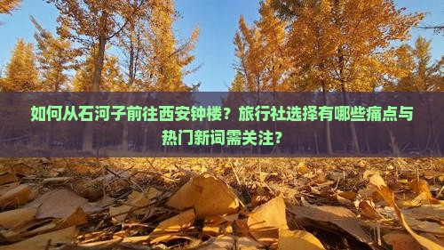 如何从石河子前往西安钟楼？旅行社选择有哪些痛点与热门新词需关注？