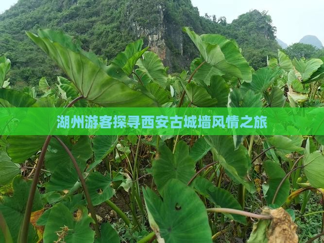 湖州游客探寻西安古城墙风情之旅