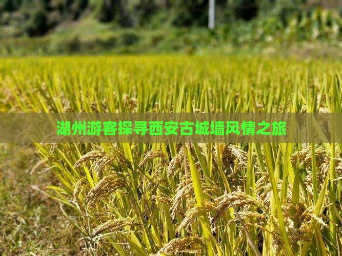 湖州游客探寻西安古城墙风情之旅