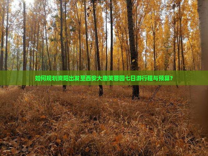 如何规划资阳出发至西安大唐芙蓉园七日游行程与预算？