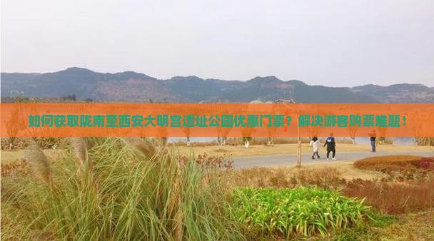 如何获取陇南至西安大明宫遗址公园优惠门票？解决游客购票难题！