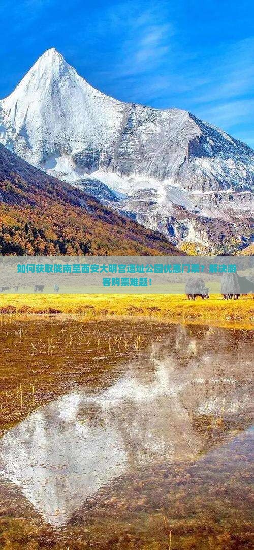 如何获取陇南至西安大明宫遗址公园优惠门票？解决游客购票难题！