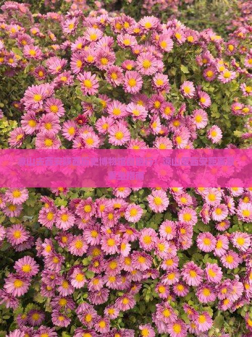 凉山去西安陕西历史博物馆自由行：凉山至西安距离及乘坐指南